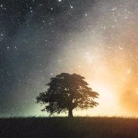 Battlefield of Unity - Single - Menumas