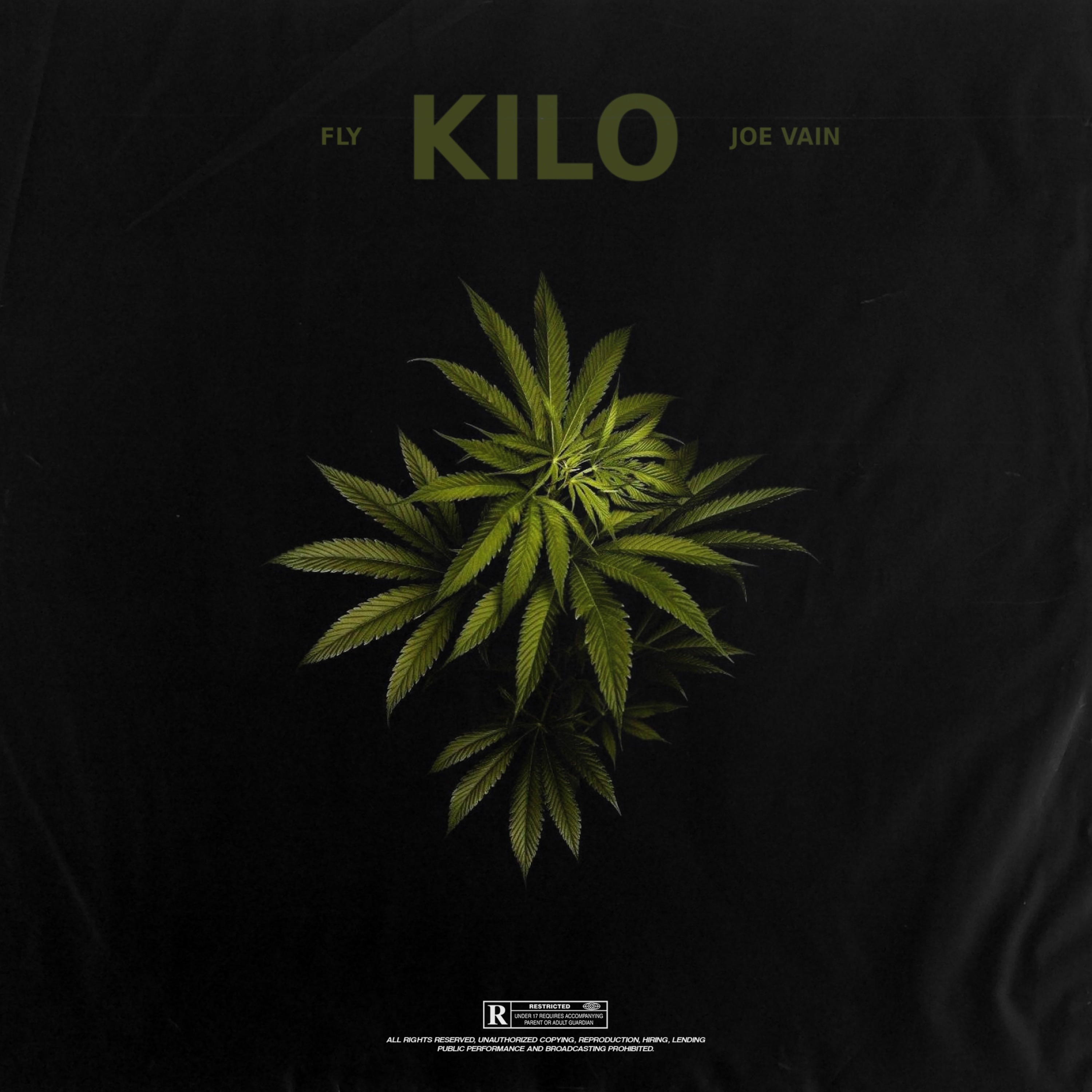 kilo - fly