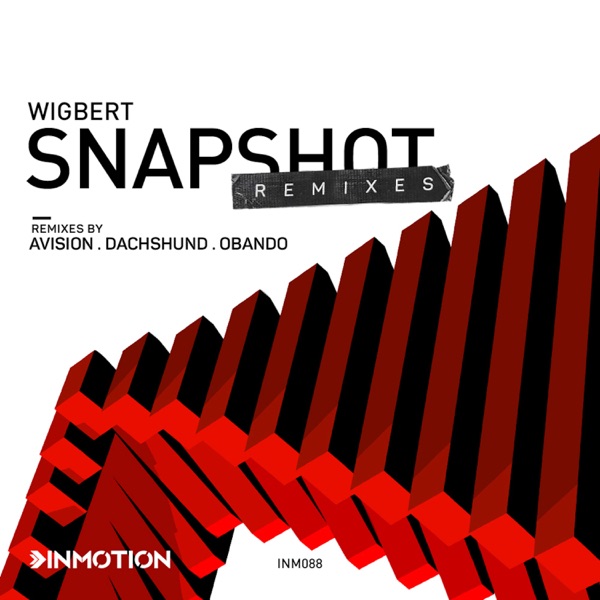 Snapshot Remixes - Single