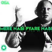 Mere Nabi Pyare Nabi artwork
