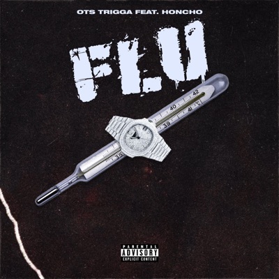 Flu (feat. Honcho) - Single