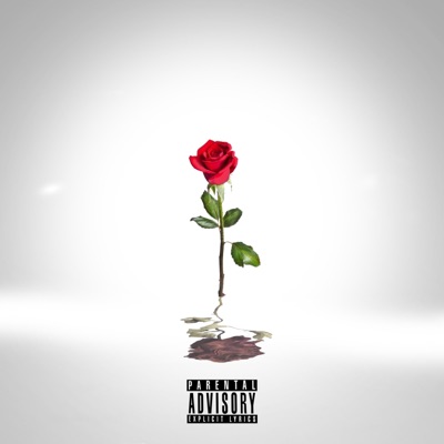 The Lovers Playlist