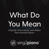 What Do You Mean (Originally Performed by Justin Bieber) [Piano Karaoke Version] - Single