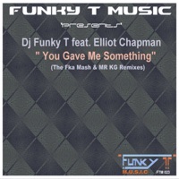 You Gave Me Something (The Remixes) [feat. Elliot Chapman] - Single - Dj Funky T