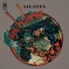 Strawbs - Where Is This Dream of Your Youth? artwork