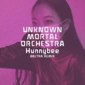 UNKNOWN MORTAL ORCHESTRA - Hunnybee