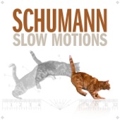 Schumann Slow Motions artwork