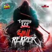 Soul Reaper artwork
