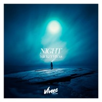 Night (Radio Edit) - Single - Mickey Vivas