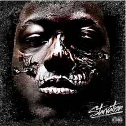 Starvation - Ace Hood