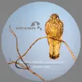 Simplicity (Lars Leonhard Remix)