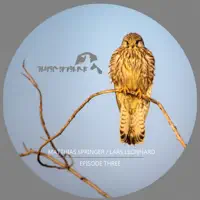 Simplicity (Lars Leonhard Remix) — Matthias Springer