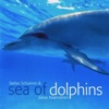 Sea of Dolphins (Musical Soundscapes)