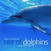 Sea of Dolphins (Musical Soundscapes) artwork