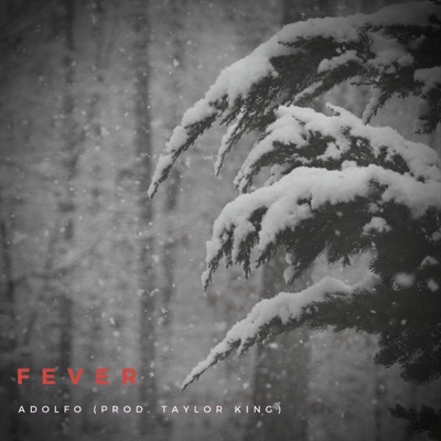 Fever - Single
