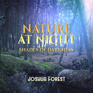 Nature at Night (Shades of Darkness)