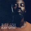 Wish You Were Here (feat. Msaki) - Single