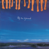 Off the Ground - Paul McCartney
