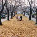 Step Outside