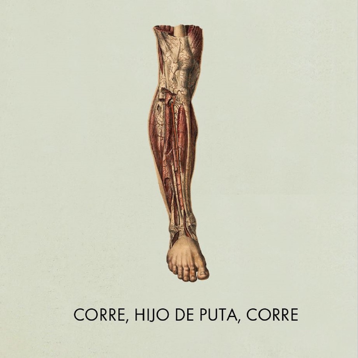 Corre, Hijo de Puta, Corre - Single - Album by Egon Soda - Apple Music