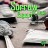 Export (feat. Quini) - Single