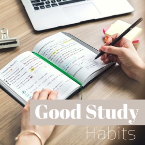 Good Study Habits - Study Effectively with Memory Training Techniques