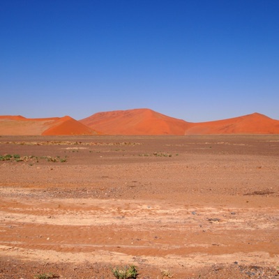 Desert Land - Single