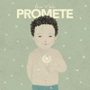 Promete - Ana Vilela mp3