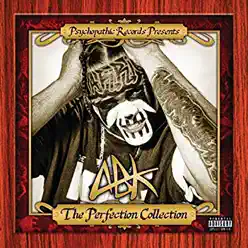 The Perfection Collection - Anybody Killa