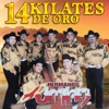 14 Kilates De Oro