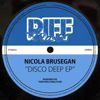 Turntable Emulation — Nicola Brusegan