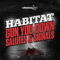 Gun You Down / Salutes & Signals - Single - Habitat
