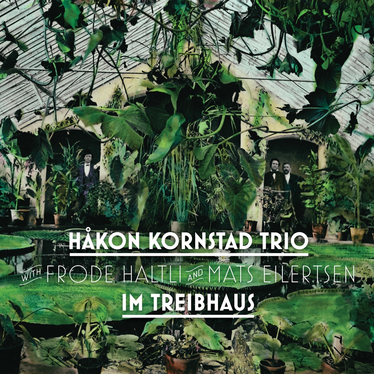 Border Woods (feat. Emilia Amper, Eirik Raude & Håkon Mørch Stene) - Album  by Frode Haltli - Apple Music