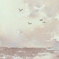 Whitengales - Single - Mister Carver