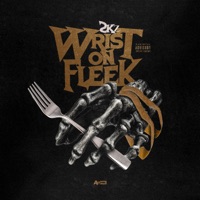 Wrist on Fleek - Single - 2Kz