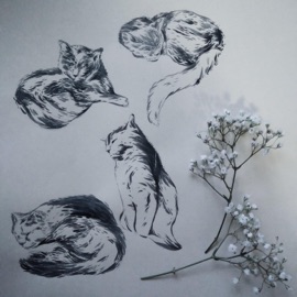 Goodnight, Friend Rhoda