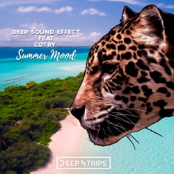 Deep Sound Effect - Summer Mood (Andrey Kravtsov Remix)