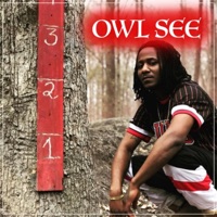 Owl See - Solid