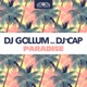 Paradise feat DJ Cap Single