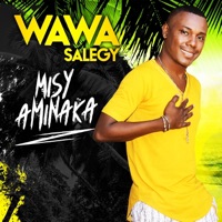 Misy Aminaka - EP - Wawa Salegy