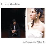 PJ Harvey & John Parish - The Chair
