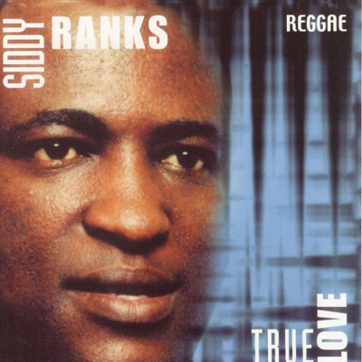 Song - Never To Late - Siddy Ranks