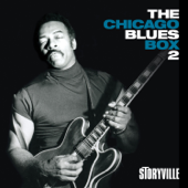 The Chicago Blues Box 2, Vol. 2 (feat. Tyrone Centuray, Ernest Gatewood & Jimmy Miller) - Hip Lankchan