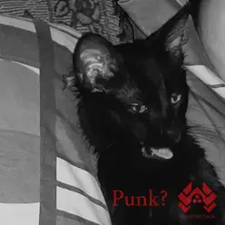 Punk? - Single - Nakatomi Plaza Punk? - Single - Nakatomi Plaza