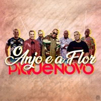 O Anjo e a Flor - Single - Pique Novo