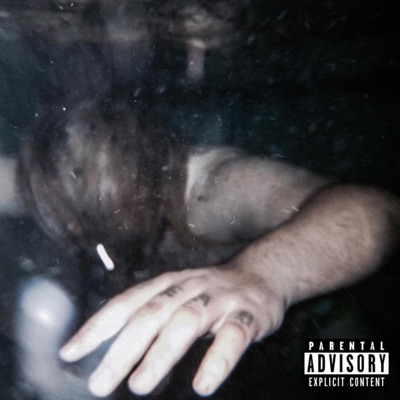 The Abyss Calls My Name (feat. Wavy Jone$ & TrippyThaKid) - Single