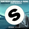 Sam Feldt & Deepend