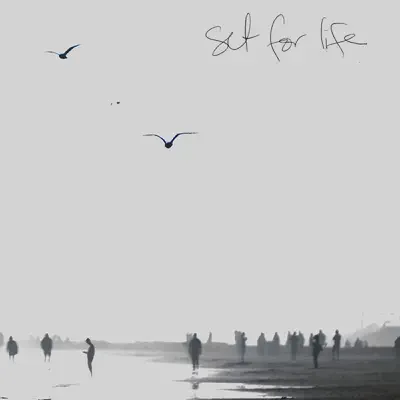Set for Life - Single - Trent Dabbs