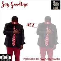 Say Goodbye - Single - Acz