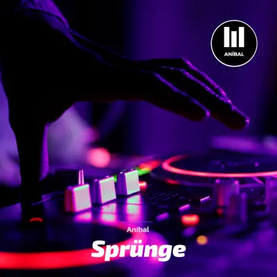 Sprünge - Single - Anibal